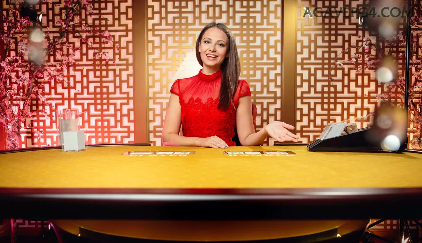 Cassino seguro no agavepg — SSL, 2FA e suporte 24/7